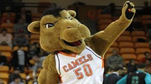 campbell-university-gaylord-mules-hahanice