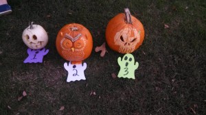 IMG_20131030_170151_653