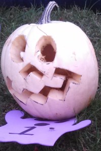 2nd Place: Nicole Fitzgerald