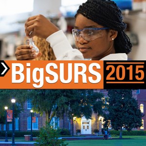 bigsurs_banner_800x800